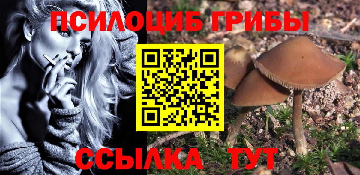 Советский  Галлюциногенные грибы мухоморы  Вход с VPN  Псилоцибиновые грибы мухоморы 